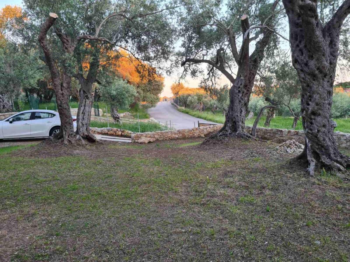Olea Cottage Ulcinj Buitenkant foto