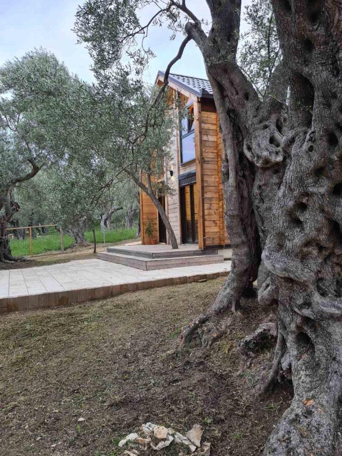 Olea Cottage Ulcinj Buitenkant foto