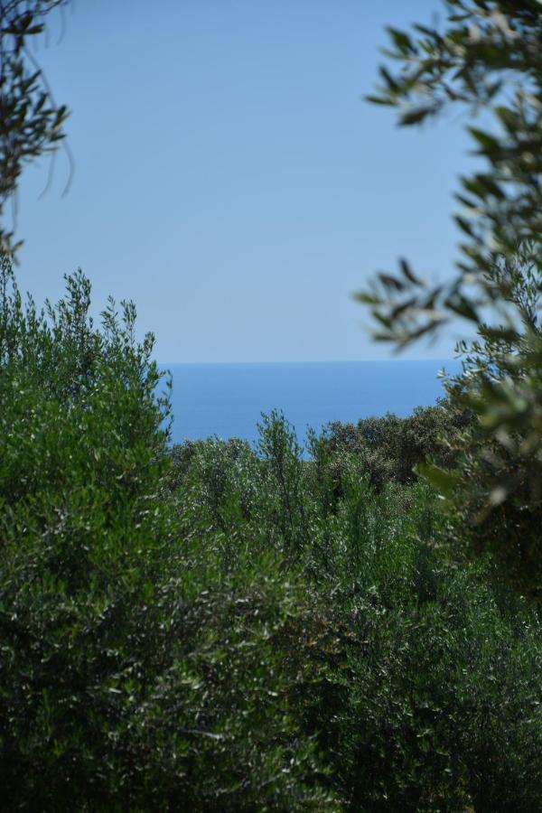Olea Cottage Ulcinj Buitenkant foto