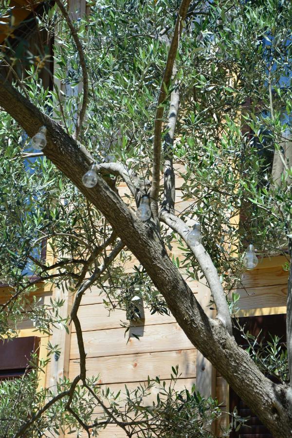 Olea Cottage Ulcinj Buitenkant foto