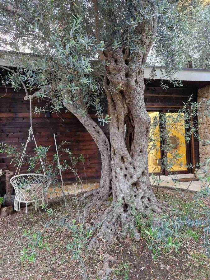 Olea Cottage Ulcinj Buitenkant foto