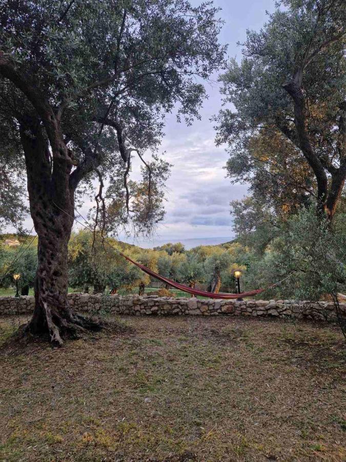 Olea Cottage Ulcinj Buitenkant foto